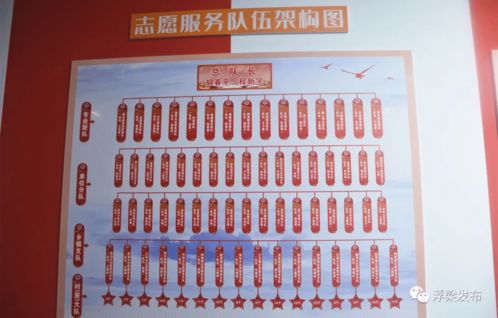 狂野时代，戛纳电影节五年来的最佳之作