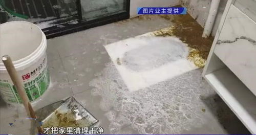 婚房遭遇粪水浸泡，业主情绪崩溃的背后