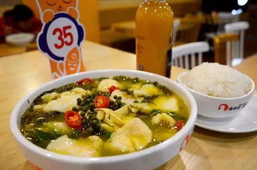 上海快餐四菜一汤173元，博主的消费观察与深度解析