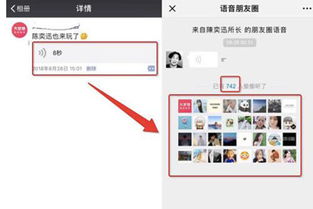 微信朋友圈访客查看功能，客服的回应与解析