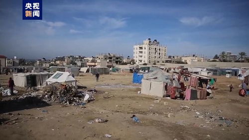 本轮巴以冲突，加沙地带54381人死亡的悲剧