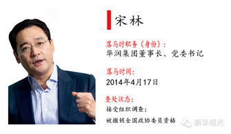 落马副部卷入与乘客对骂风波，公共形象与个人行为的双重反思